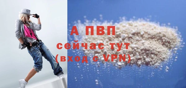 стафф Медвежьегорск
