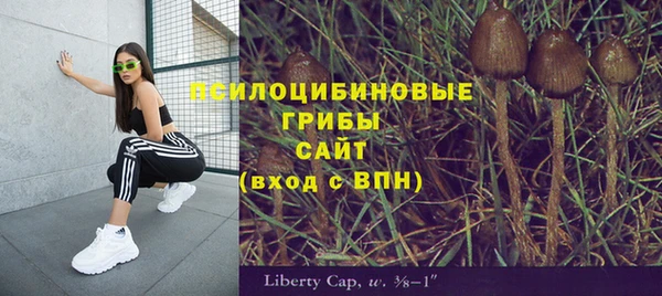 герыч Мегион